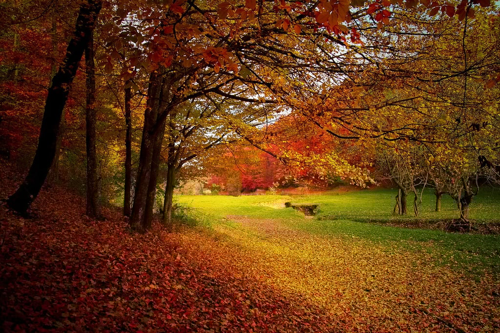 fall in middle GA