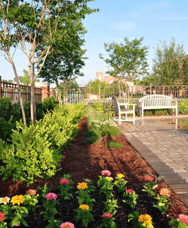 native plantings and mulch are two commercial landscaping ideas used to reduce water use