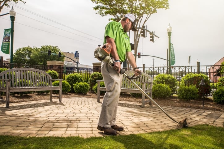 edging a lawn