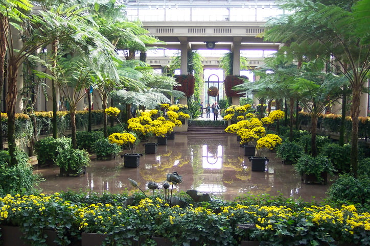 indoor garden