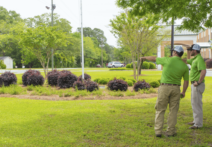 landscape professionals at work