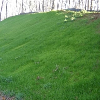 steep slope erosion control