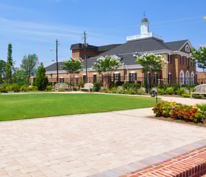 Lawn aeration is a procedure where deep holes are punched in the soil to allow air, water and nutrients to get to the root zone of your turf.