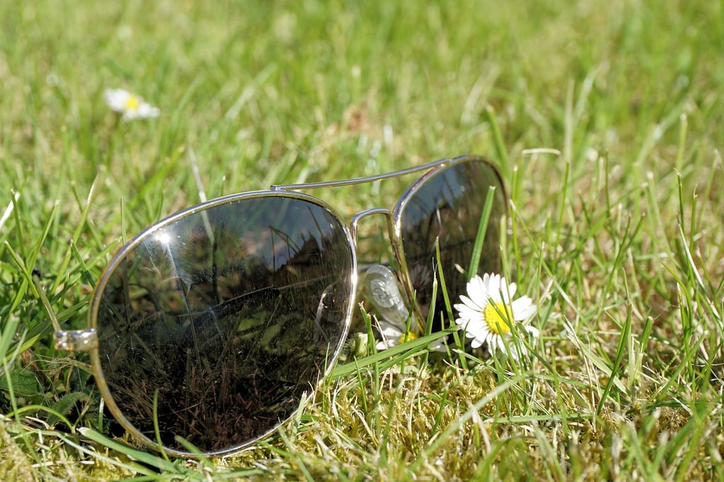 Everything you need to know about your late summer lawn care in Macon and Central GA.