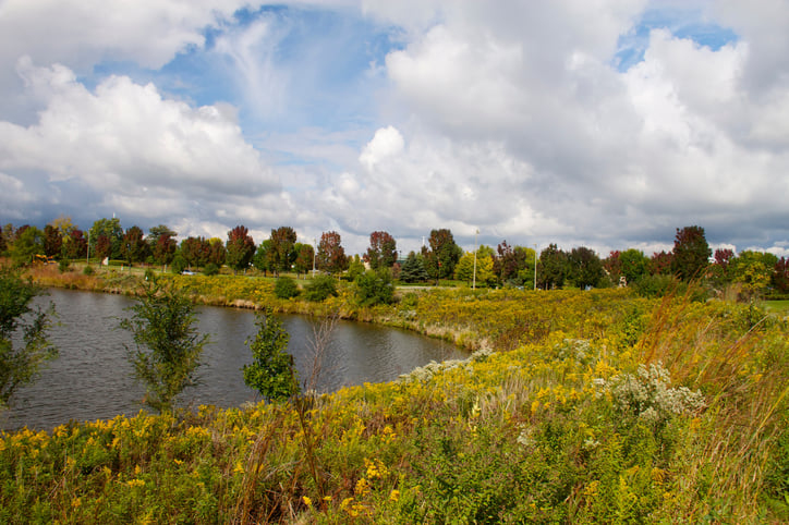 retention ponds