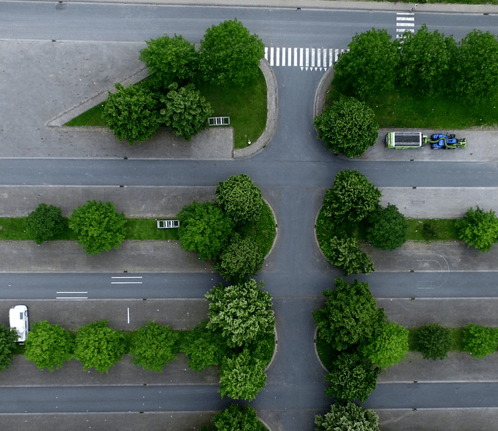 parking lot trees from above