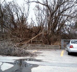 a commercial landscaping budget should include a space for clean-up of debris