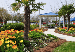 Reserve a category in your budget for landscape renovation