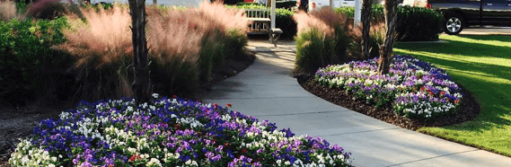 geometric patterning in flower beds is a landscaping trend for Macon GA in 2016