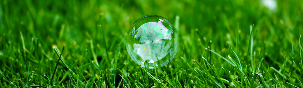 When you aerate your lawn, it’s a good idea to also do weed control. 