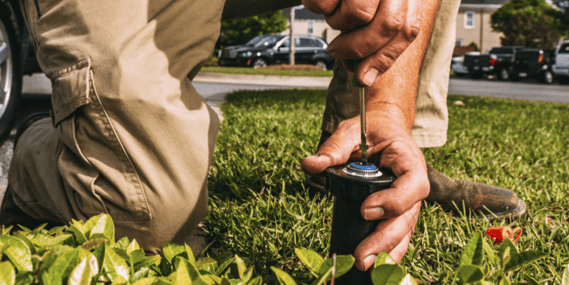 Keeping your landscape well watered is especially critical during the hot, dry summer months.