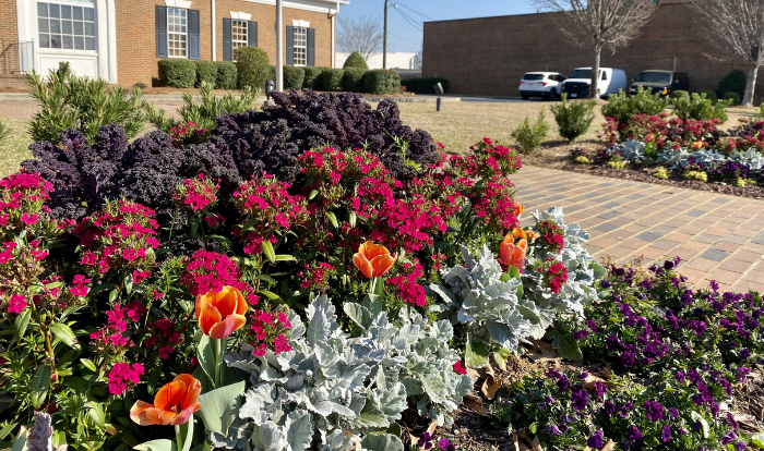 flower bed design-1