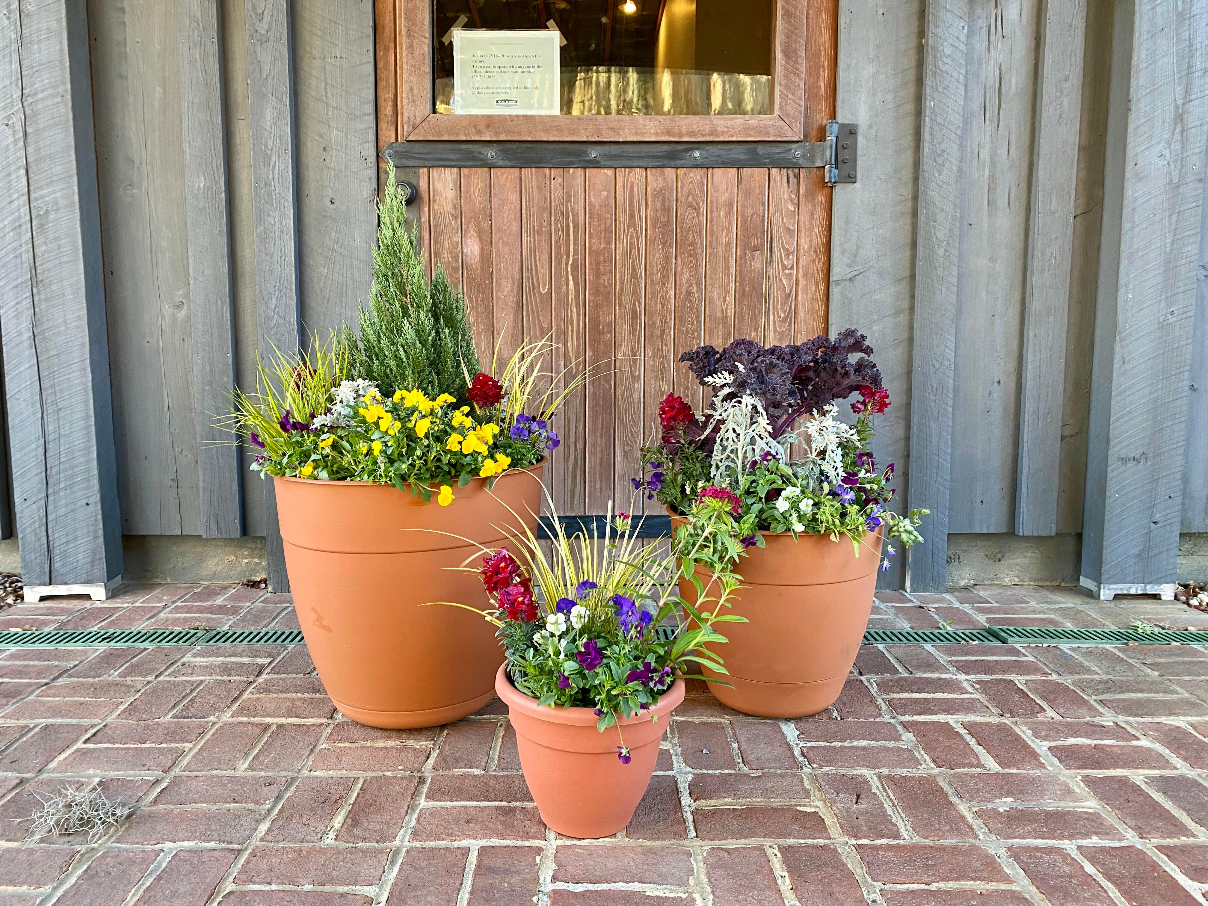 image4
