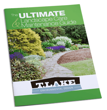 T. Lake Environmental Design's Landscape Maintenance Guide