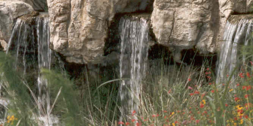 adding a water feature is one hardscape idea for a large backyard makeover