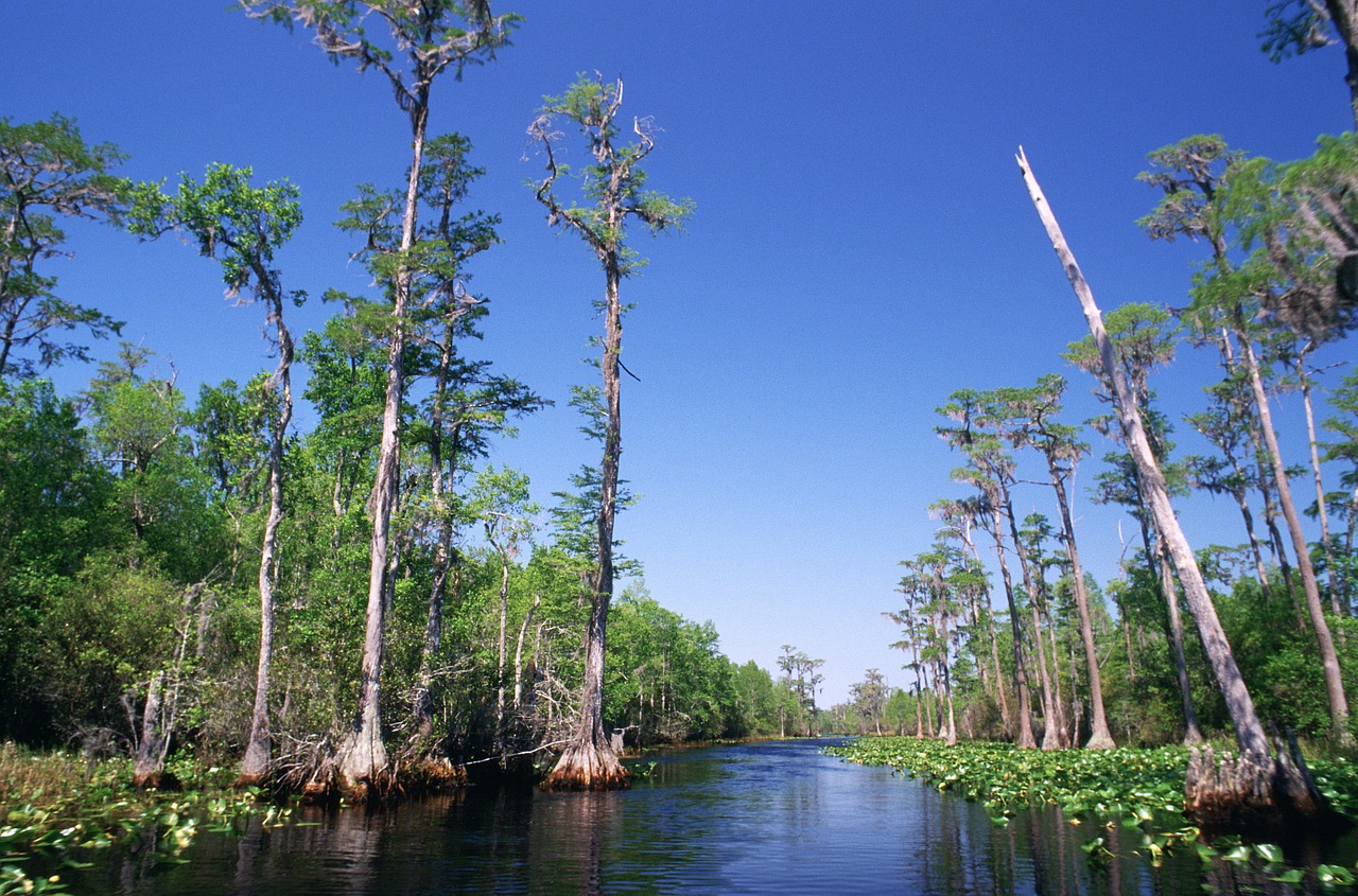 Wetland construction and mitigation helps maintain Georgia’s natural beauty