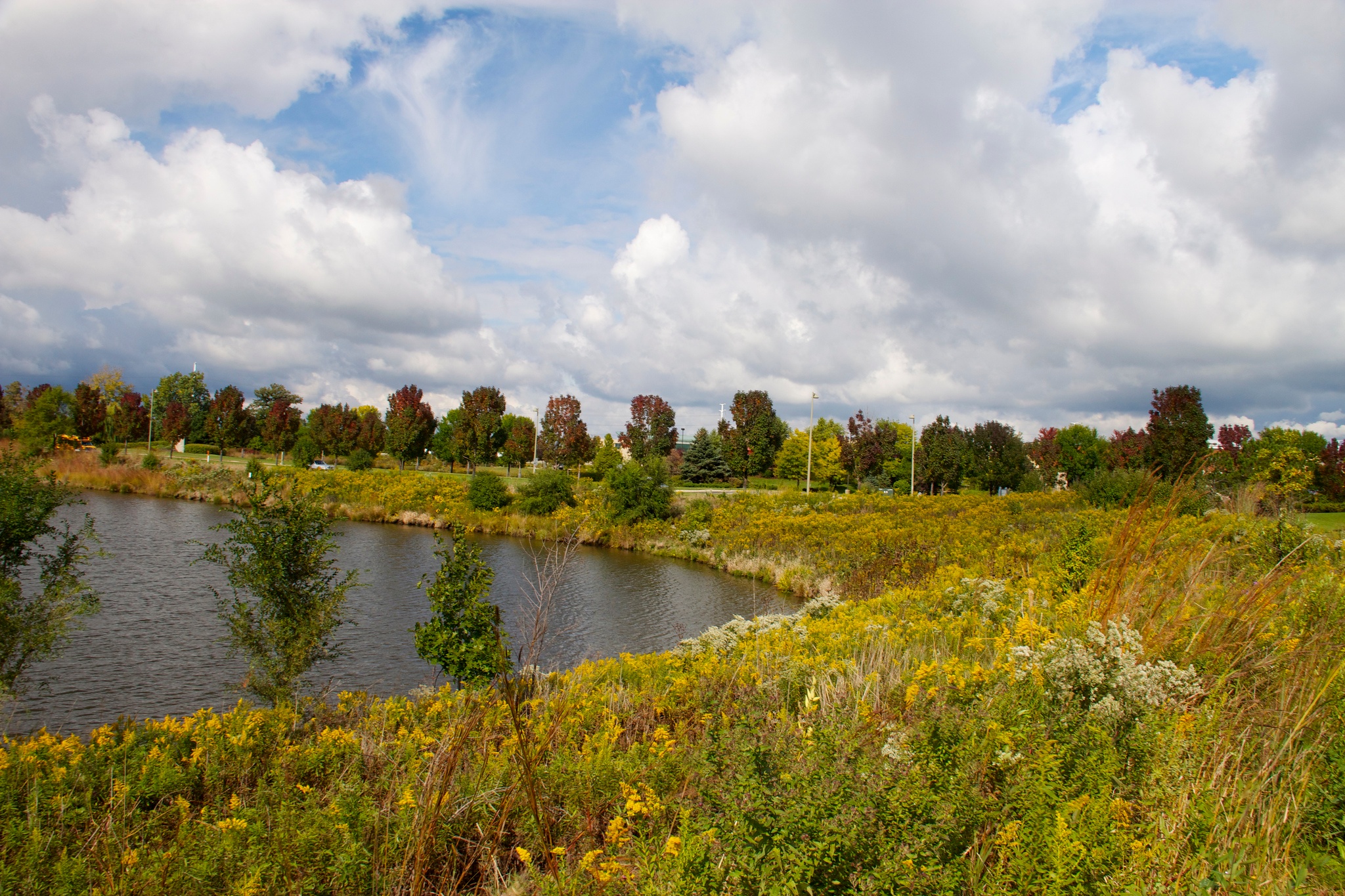 retention_pond.jpg