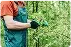 Landscape Maintenance
